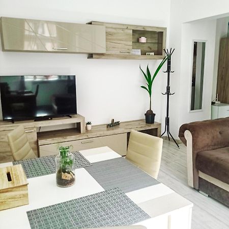 Friendly Little Studio Brasov Bagian luar foto