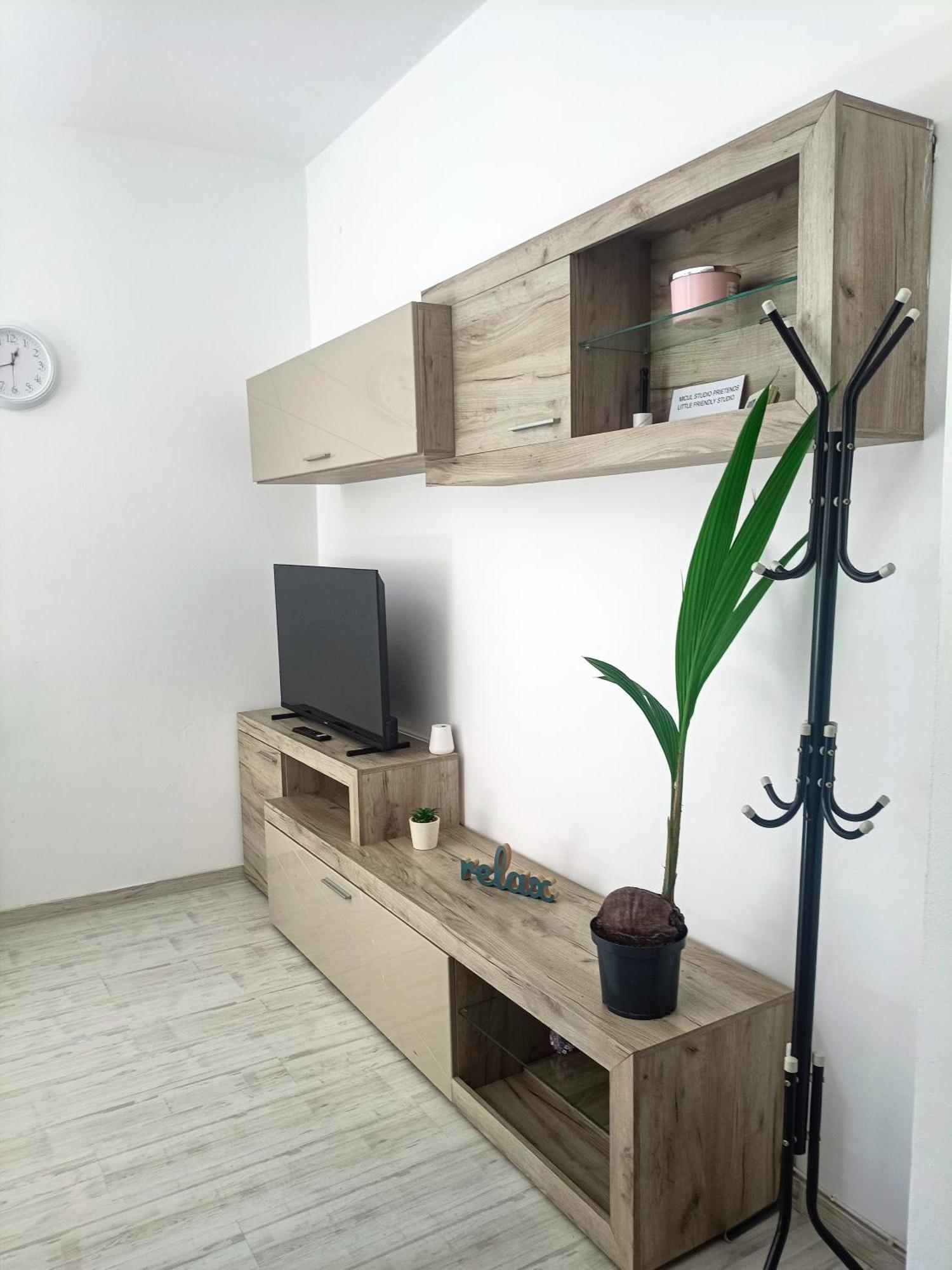 Friendly Little Studio Brasov Bagian luar foto